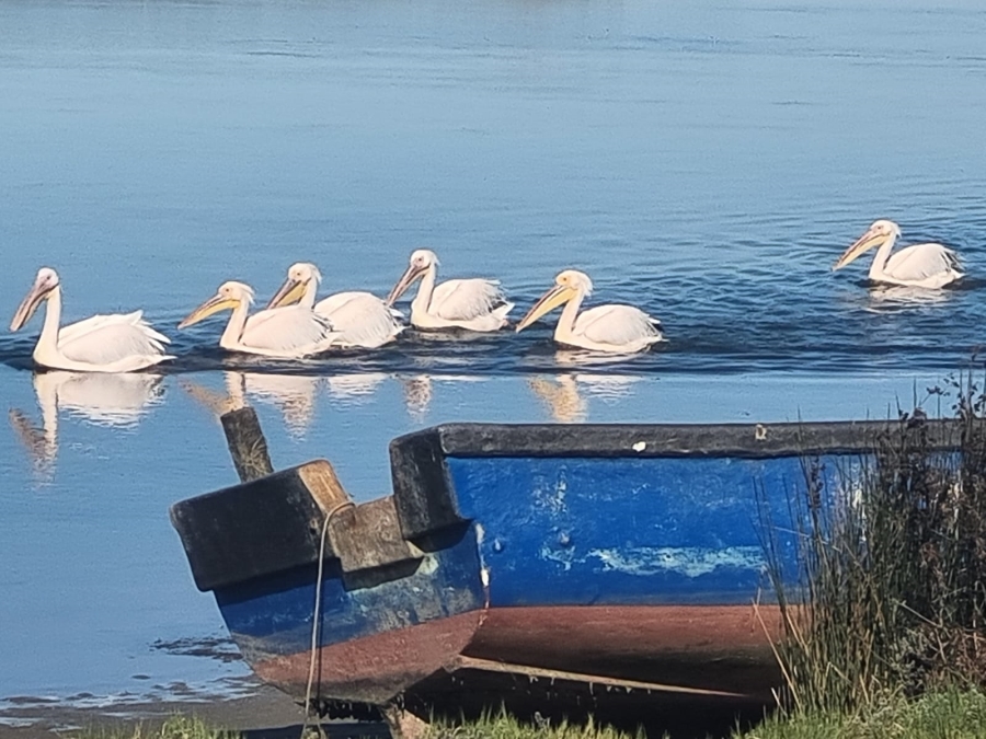 0 Bedroom Property for Sale in Laaiplek Western Cape